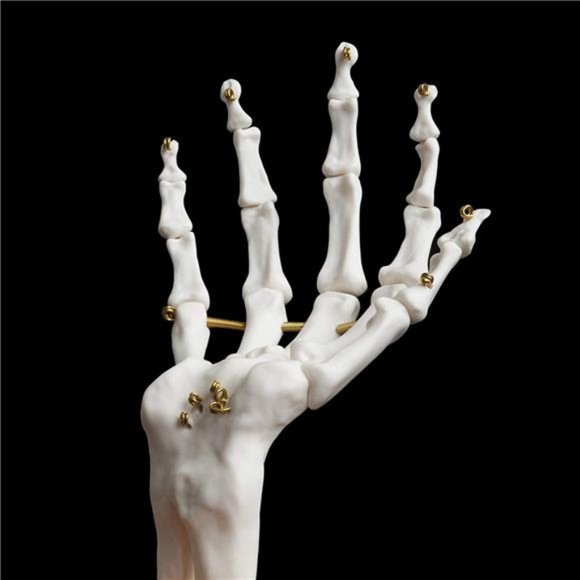 Skeleton Hand Ring Holder & Jewelry Stand Earring Organizer & Necklace Holder - Picture 8 of 10